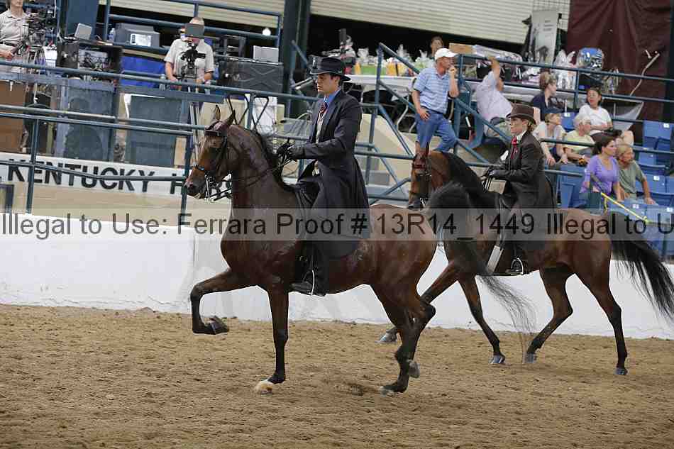 Proof 13r14_1449