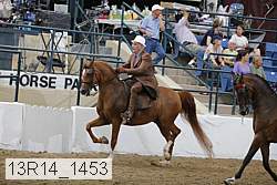 13r14_1453 proof