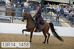 13r14_1458 proof