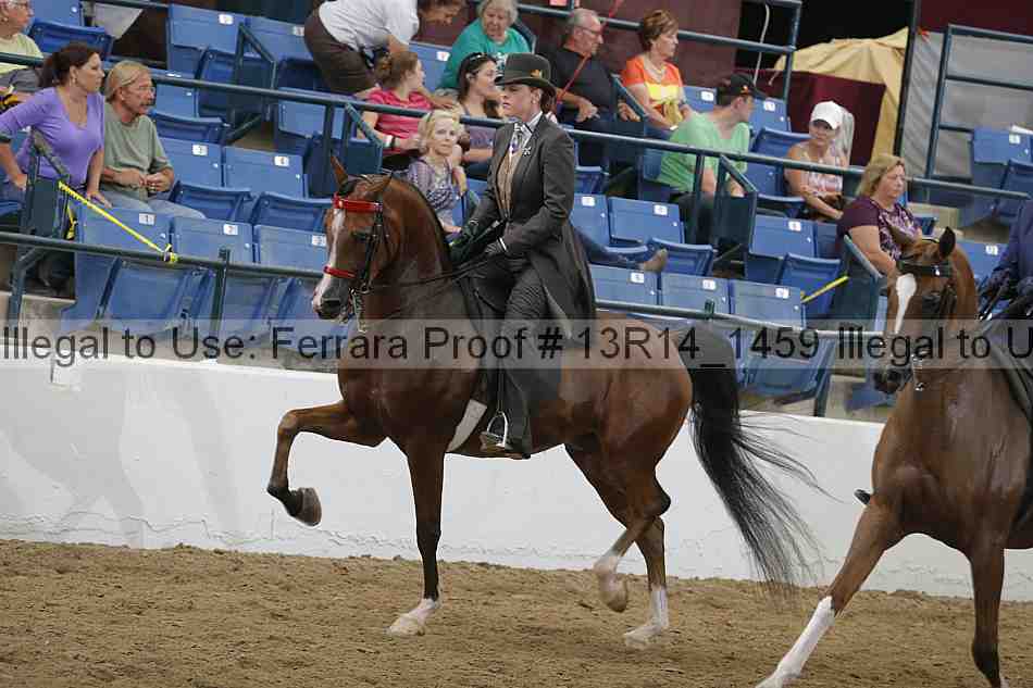 Proof 13r14_1459