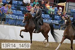 13r14_1459 proof