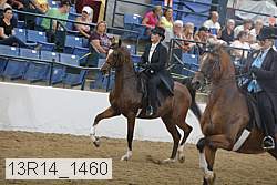 13r14_1460 proof