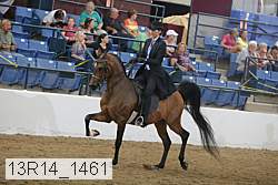 13r14_1461 proof