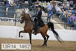 13r14_1462 proof
