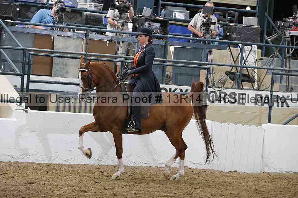 Proof 13r14_1463