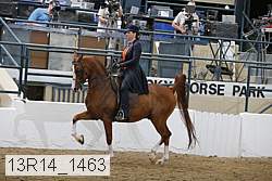 13r14_1463 proof