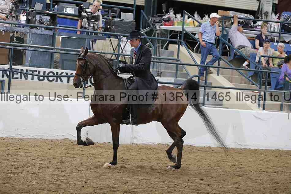 Proof 13r14_1465