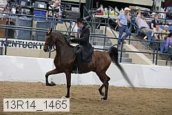 13r14_1465 proof