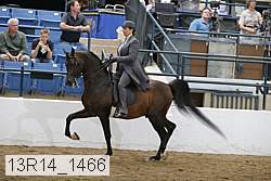 13r14_1466 proof