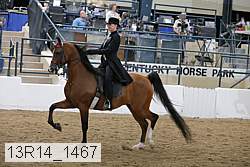 13r14_1467 proof