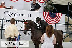 13r14_1471 proof