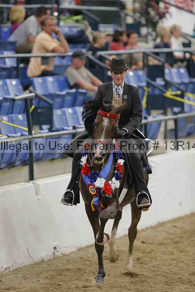 Proof 13r14_1475