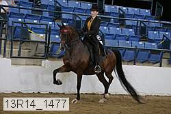 13r14_1477 proof