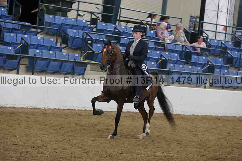 Proof 13r14_1479