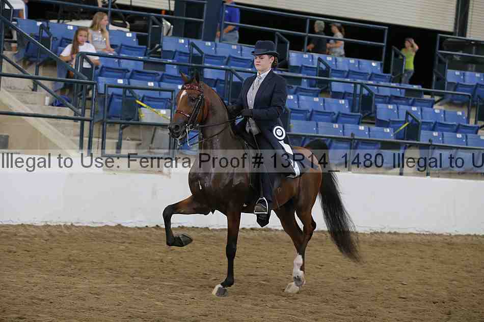 Proof 13r14_1480