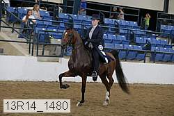 13r14_1480 proof