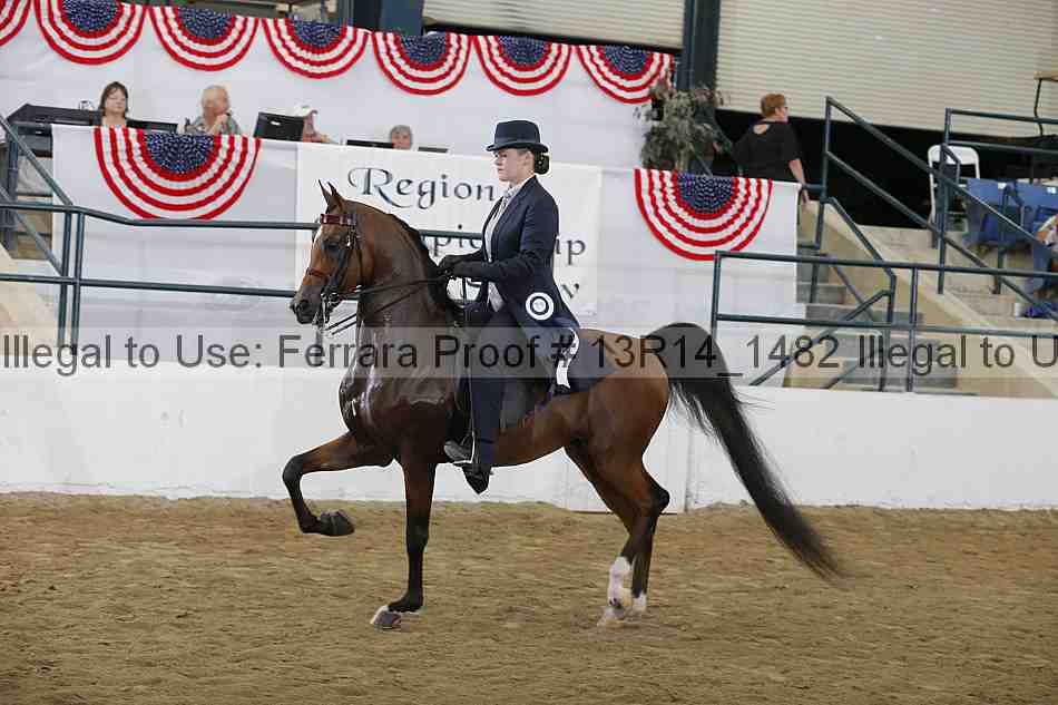 Proof 13r14_1482