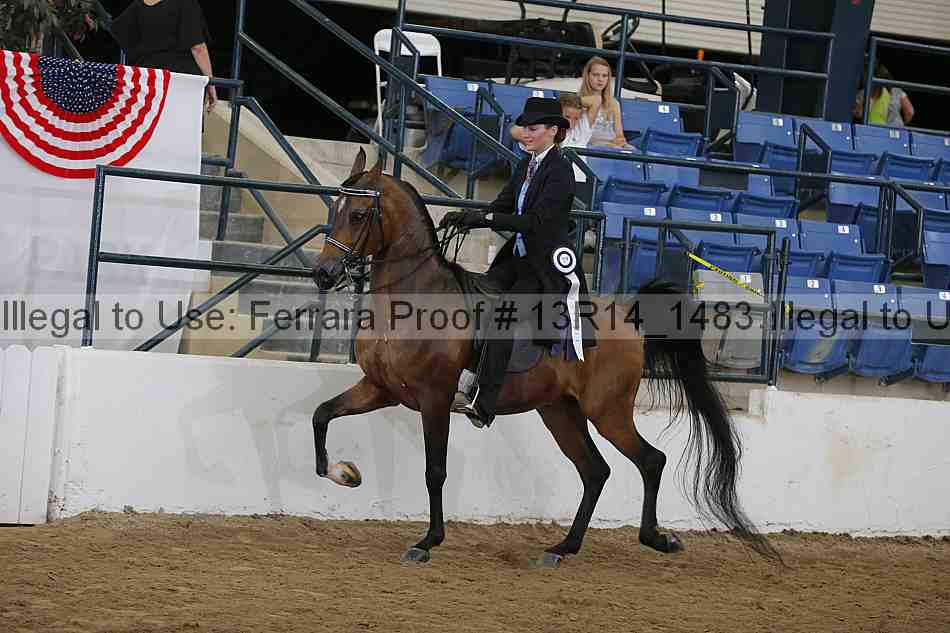 Proof 13r14_1483