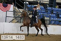13r14_1483 proof