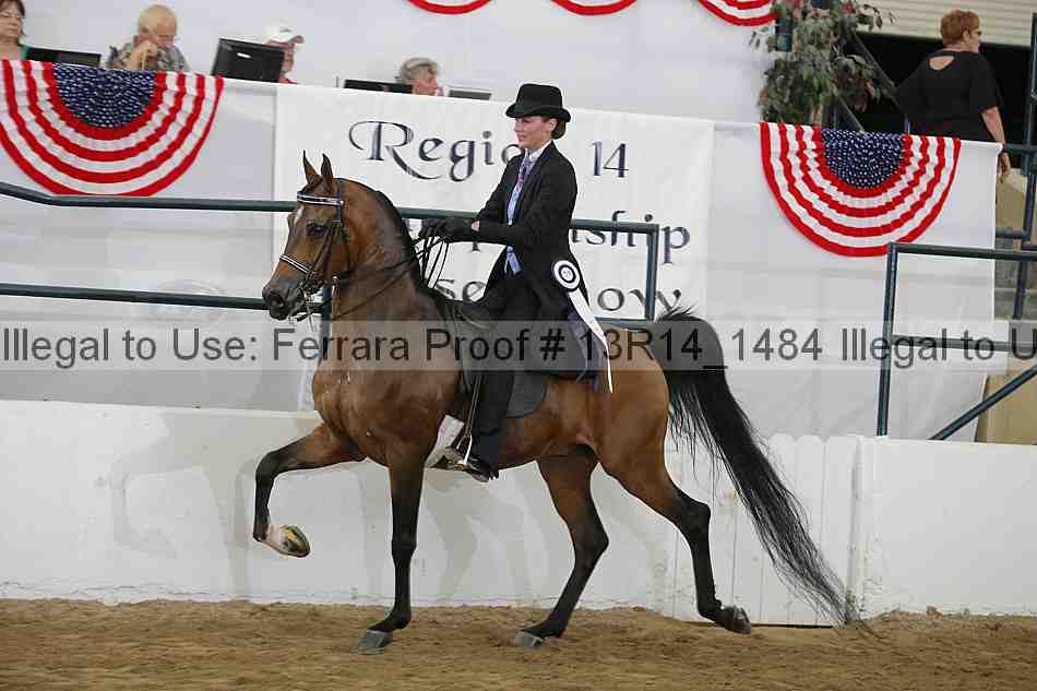 Proof 13r14_1484
