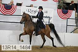 13r14_1484 proof