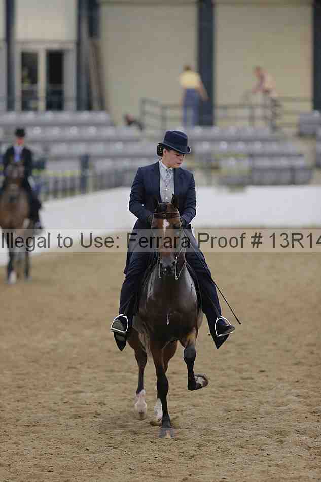 Proof 13r14_1485
