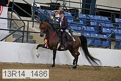 13r14_1486 proof