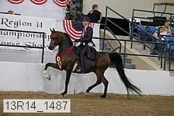 13r14_1487 proof