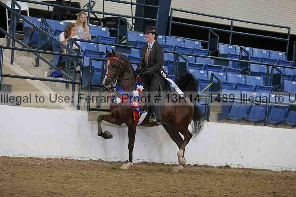 Proof 13r14_1489