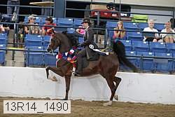 13r14_1490 proof