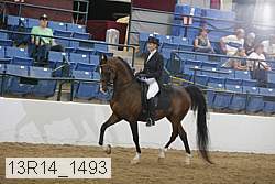 13r14_1493 proof