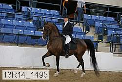 13r14_1495 proof