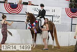 13r14_1499 proof