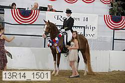 13r14_1501 proof