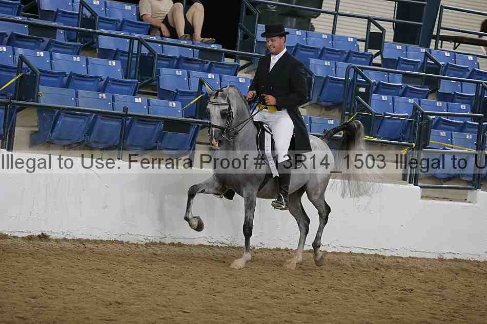 Proof 13r14_1503
