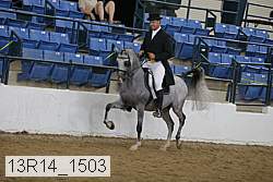 13r14_1503 proof