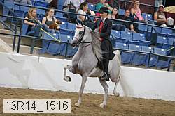 13r14_1516 proof