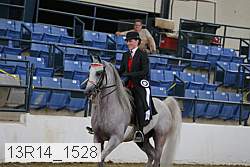 13r14_1528 proof