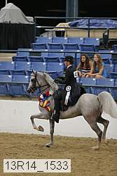 13r14_1533 proof