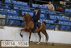 13r14_1534 proof