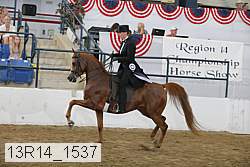 13r14_1537 proof