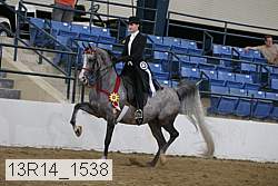 13r14_1538 proof