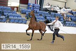 13r14_1589 proof