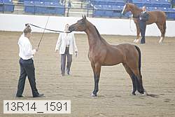 13r14_1591 proof