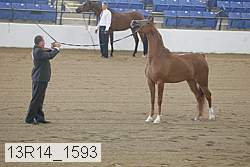 13r14_1593 proof