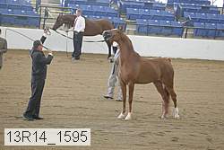 13r14_1595 proof