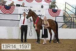 13r14_1597 proof