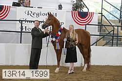 13r14_1599 proof