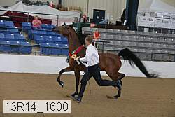 13r14_1600 proof