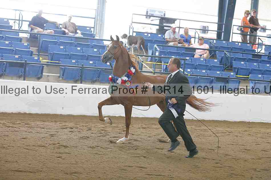 Proof 13r14_1601